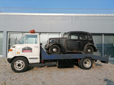 IMG-20210822-WA0003