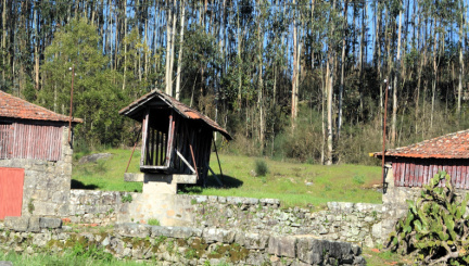 IMG-20260319-WA0126