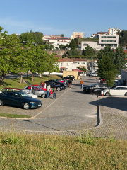 IMG-20260430-WA0015